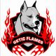logo-037-getic-flames-.jpg